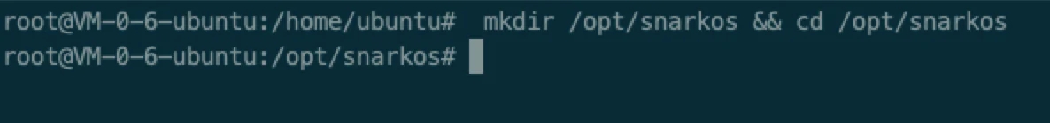 2亿美金融资,第一个支持私有和可编程的公链-Aleo-节点教程